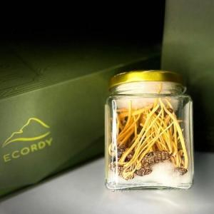 ECORDY NGUYÊN CON KHÔ hộp lớn