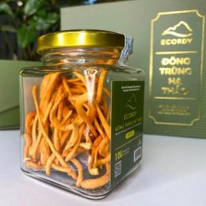 ECORDY SỢI KHÔ hộp vừa