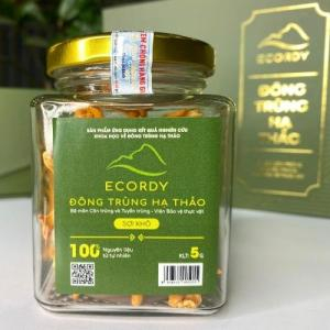 ECORDY SỢI KHÔ hộp vừa