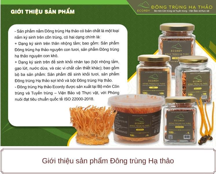Sản phẩm đông trùng hạ thảo viện bảo vệ thực vật