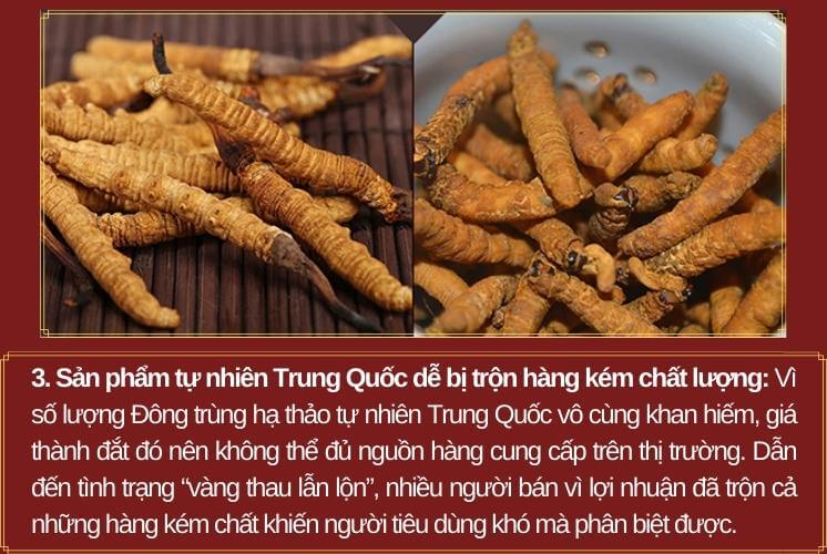 5 lý do nên mua đông trùng hạ thảo việt nam-3