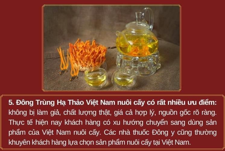 5 lý do nên mua đông trùng hạ thảo việt nam-5