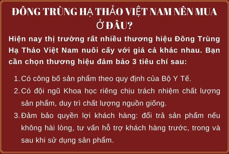 5 lý do nên mua đông trùng hạ thảo việt nam-6