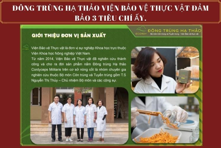 5 lý do nên mua đông trùng hạ thảo việt nam-7
