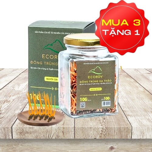 ECORDY NGUYÊN CON TƯƠI hộp lớn