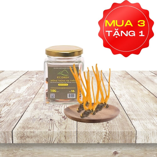 ECORDY NGUYÊN CON TƯƠI hộp nhỏ