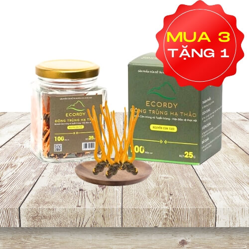 ECORDY NGUYÊN CON TƯƠI hộp vừa