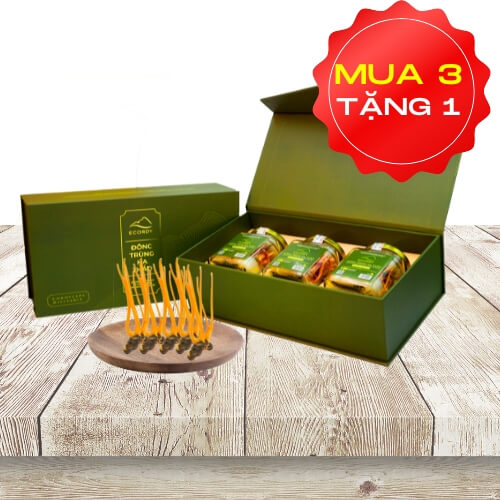 ECORDY NGUYÊN CON KHÔ hộp vừa