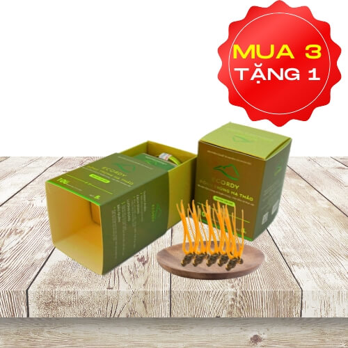 ECORDY NGUYÊN CON KHÔ hộp nhỏ