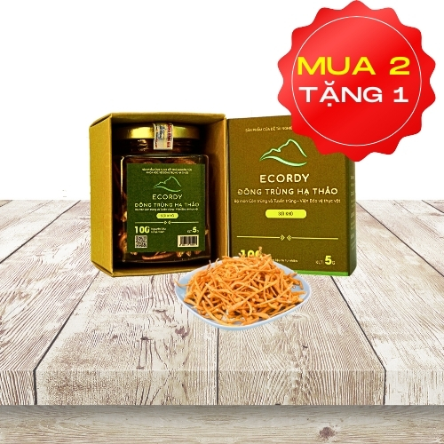 ECORDY SỢI KHÔ hộp nhỏ