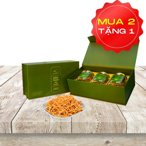 ECORDY SỢI KHÔ hộp vừa