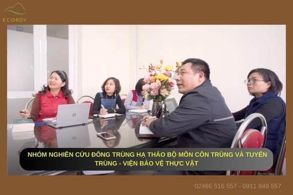 Nhóm nghiên cứu Đông trùng Hạ Thảo Viện Bảo vệ Thực vật