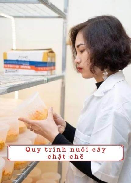 Phòng nuôi cấy đông trùng hạ thảo viện bảo vệ thực vật
