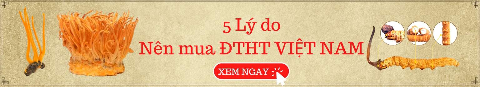 5 lý do nên mua Đông trùng hạ thảo Việt Nam từ chuyên gia viện bảo vệ thực vật