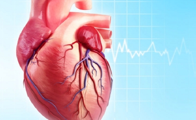 9 bệnh tim phổ biến ở người cao tuổi