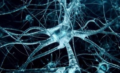 Lão hóa thần kinh có thực sự nguy hiểm không?