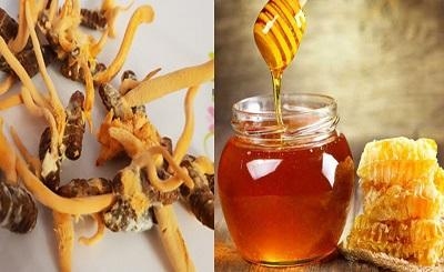Những lợi ích và cách dùng đông trùng hạ thảo ngâm mật ong