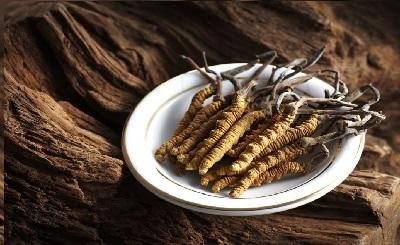 Đông trùng hạ thảo nên uống trước hay sau ăn?