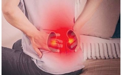 Dùng đông trùng hạ thảo cho người đau lưng mỏi gối do thận yếu có tốt không?