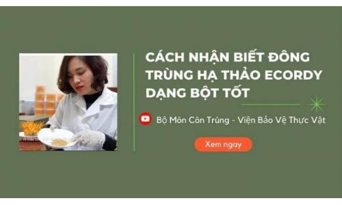Cách chọn Bột ĐTHT tốt