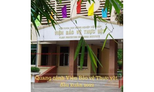 Quang cảnh viện Bảo vệ Thực vật đầu xuân 2022